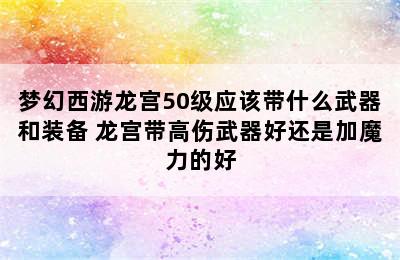 梦幻西游龙宫50级应该带什么武器和装备 龙宫带高伤武器好还是加魔力的好